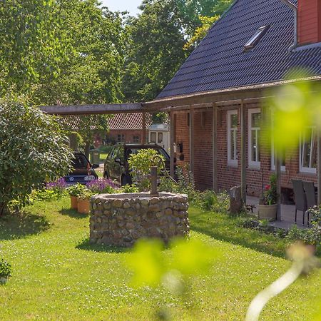 Ferienwohnung Kleiner Und Grosser Stern 스토테불 외부 사진